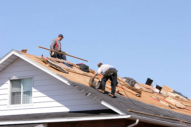 Best Skylight Installation and Repair  in Conneaut Lakeshore, PA